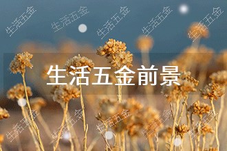 2024年生活五金发展前景 趋势预测(图1)