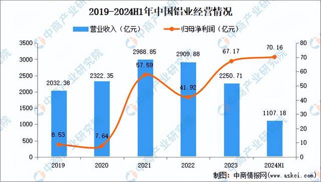 2024年中国有色金属行业市场前景预测研究报告（简版）(图11)