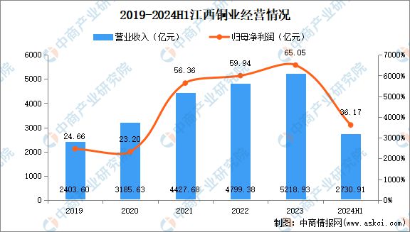 2024年中国有色金属行业市场前景预测研究报告（简版）(图13)