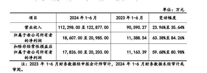 悍高集团IPO收二轮问询2024上半年归母净利最高预增84%(图3)